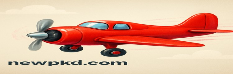 new pk অ্যাভিয়েটর